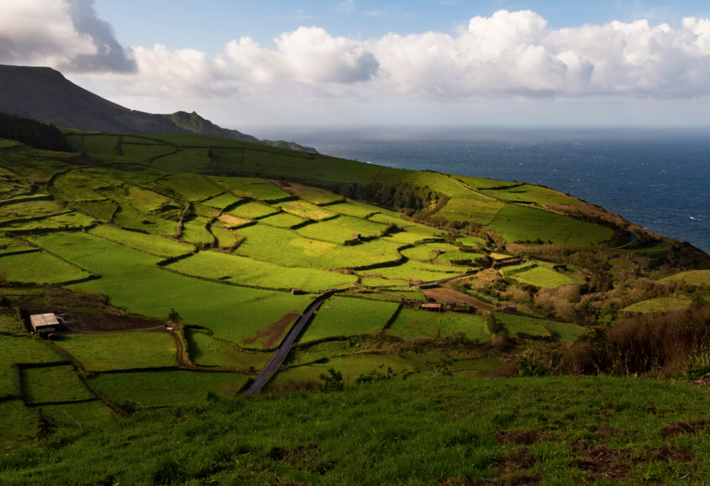 3aa43eceb60973a6502aeffad906b2b39f8c96c2