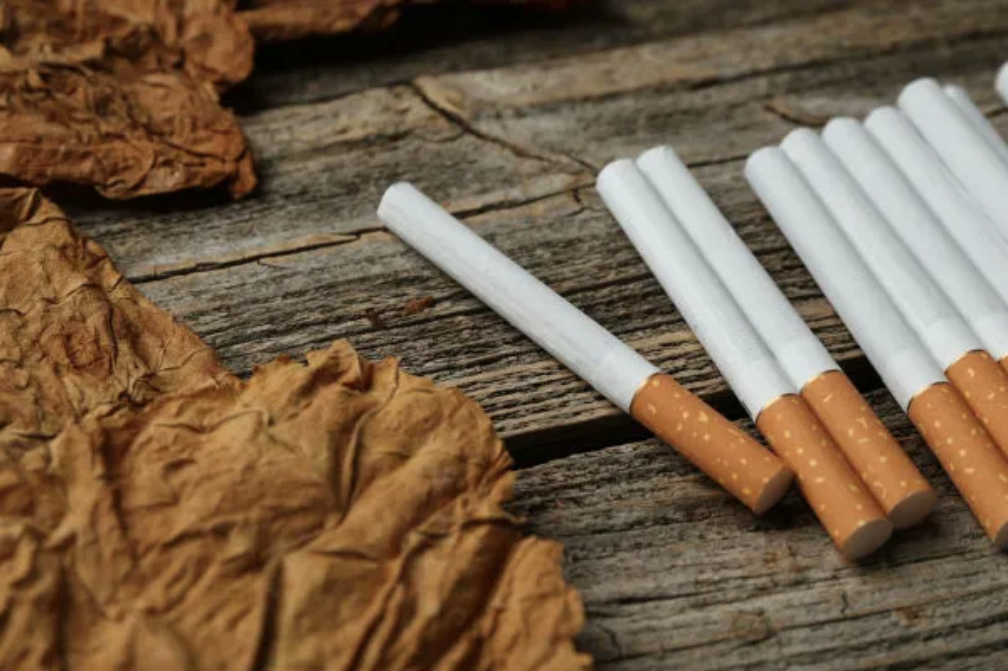 d991a04a3f3f7c8bf7e845d061580a6fd98fae41